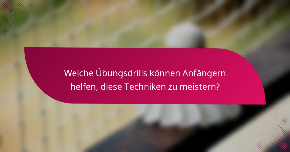 Welche Übungsdrills können Anfängern helfen, diese Techniken zu meistern?